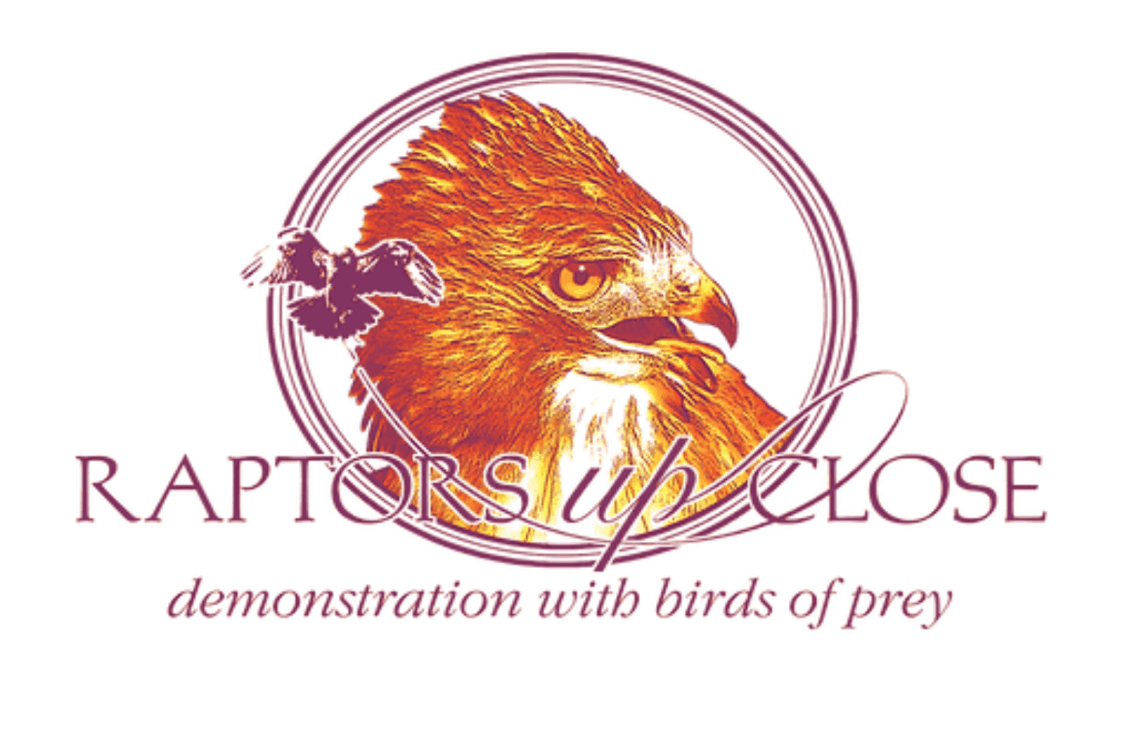 Raptors Up Close